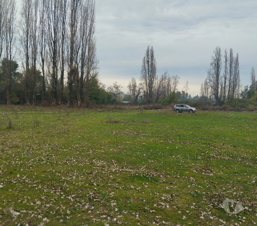 Venta de Haciendas Linares Longav - Fotos de Vendo Hermosas Parcelas Rurales