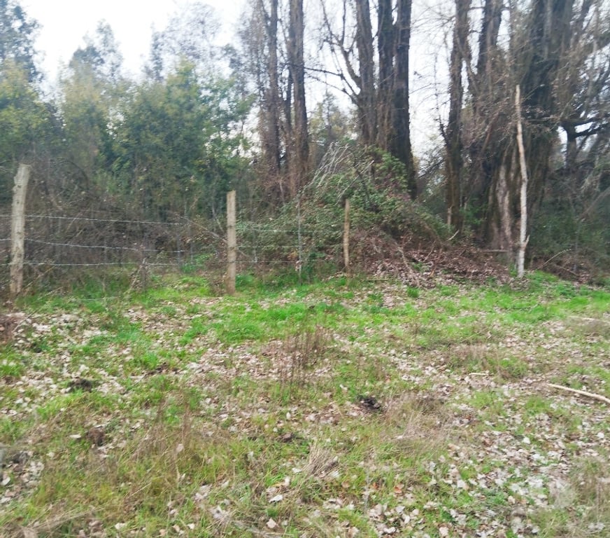 Venta de Haciendas Linares Longav - Fotos de Vendo predio agrícola de 2,45 hectáreas