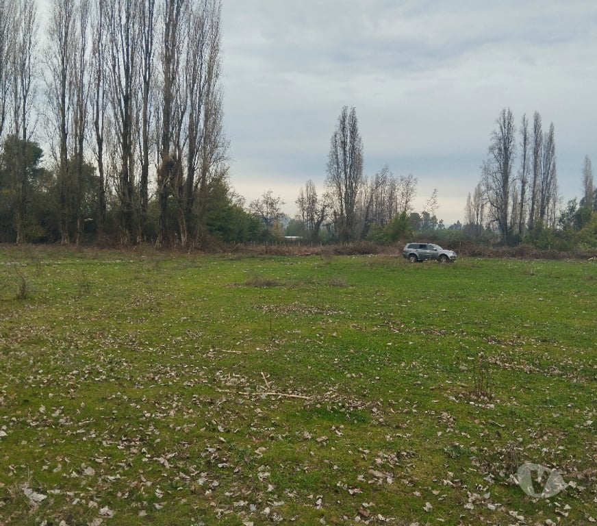 Venta de Haciendas Linares Longav - Fotos de Vendo predio agrícola de 2,45 hectáreas