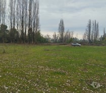 Vendo predio agrícola de 2,45 hectáreas