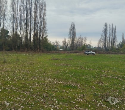 Fundos en Venta Longav Linares - Fotos de Vendo predio agrícola de 2,45 hectáreas
