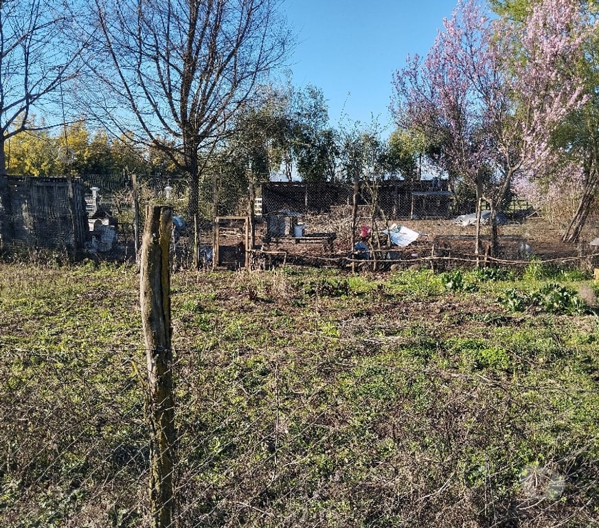 Parcelas en Venta Linares Longav - Fotos de Vendo hermosa parcela con casa y huerto de berries