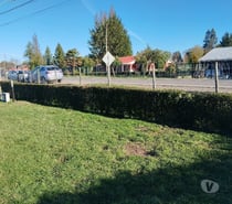 Fotos de Vendo hermosa parcela con casa y huerto de berries
