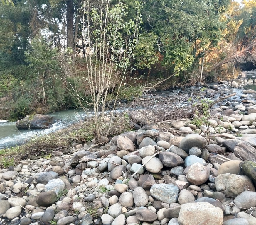 Venta de Haciendas Linares Longav - Fotos de VENDO HERMOSA PARCELA EN PRECORDILLERA