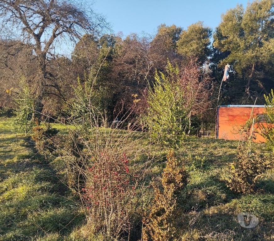 Venta de Haciendas Linares Longav - Fotos de VENDO HERMOSA PARCELA EN PRECORDILLERA