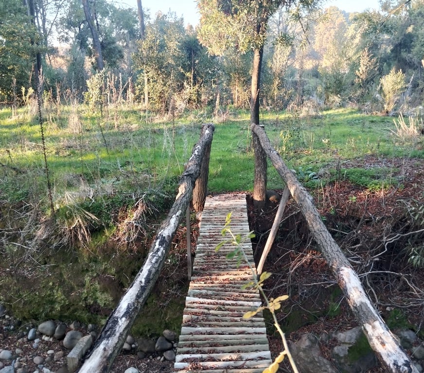 Venta de Haciendas Linares Longav - Fotos de VENDO HERMOSA PARCELA EN PRECORDILLERA