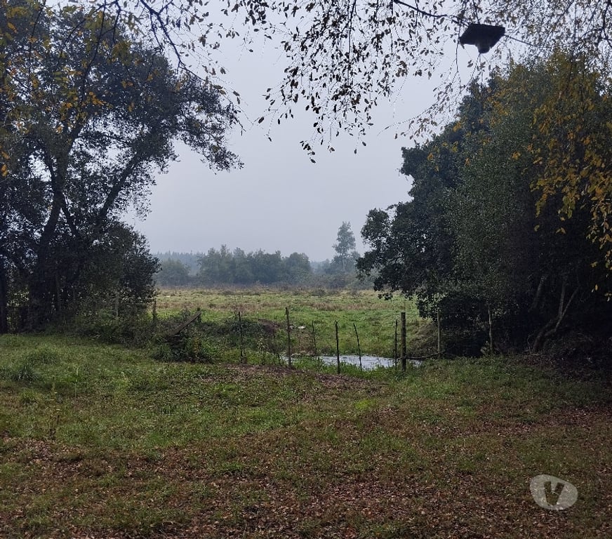 Venta de Haciendas Linares Longav - Fotos de VENDO PARCELA AGRICOLA Y TURISTICA