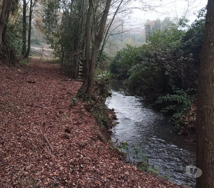 Venta de Haciendas Linares Longav - Fotos de VENDO PARCELA AGRICOLA Y TURISTICA