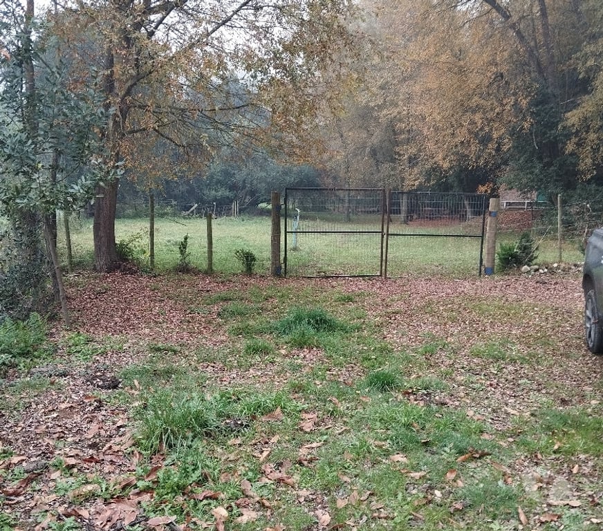 Venta de Haciendas Linares Longav - Fotos de VENDO PARCELA AGRICOLA Y TURISTICA