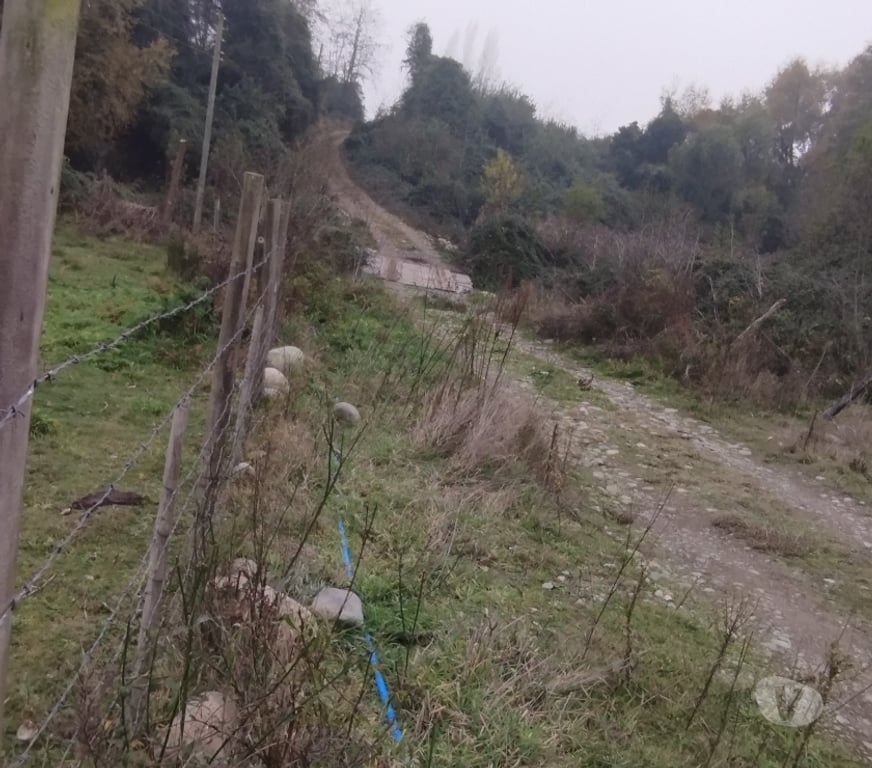 Venta de Haciendas Linares Longav - Fotos de Vendo una hectárea en dos roles de 0,5 ha cada una