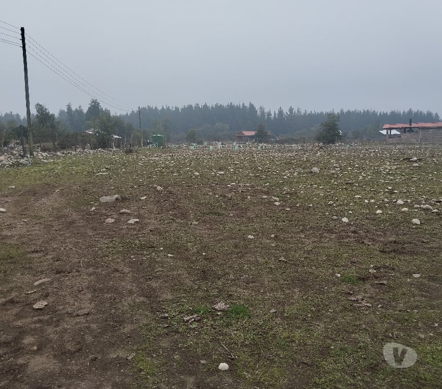 Venta de Haciendas Linares Longav - Fotos de Vendo una hectárea en dos roles de 0,5 ha cada una