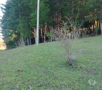 Fotos de Vendo hermosa parcela para construir