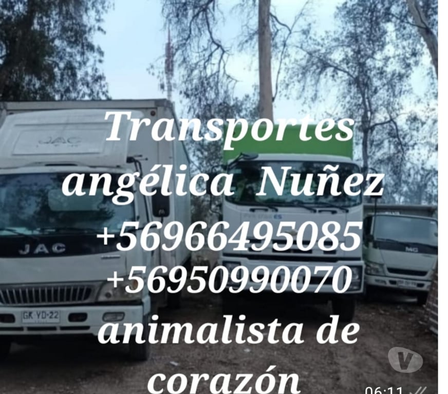 Fletes y Mudanzas - Transportes Santiago Santiago - Fotos de Fletes mudanzas santiago viña +57966495085 hoy