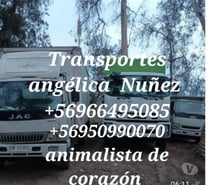 Fletes mudanzas santiago viña +57966495085 hoy