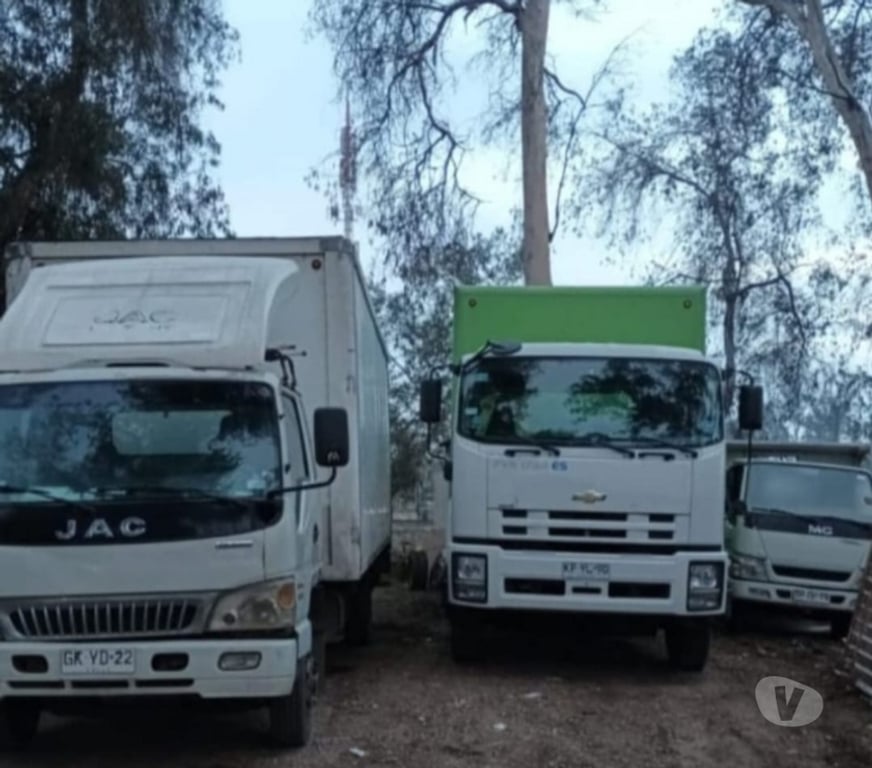 Fletes y Mudanzas - Transportes Santiago Santiago - Fotos de Fletes mudanzas dentro y fuera de stgo +56950990070