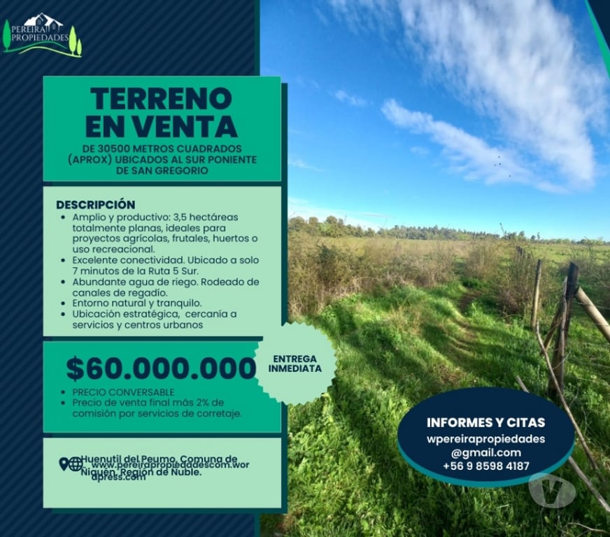 Parcelas en Venta Ñuble Ñiquén - Fotos de Predio de 3,5 has en Huenutil del Peumo, Ñiquén, Ñuble