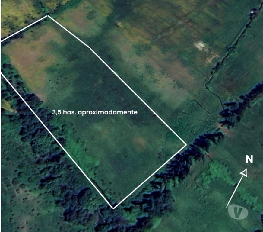 Parcelas en Venta Ñuble Ñiquén - Fotos de Predio de 3,5 has en Huenutil del Peumo, Ñiquén, Ñuble