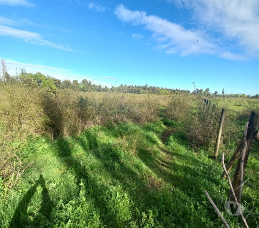 Parcelas en Venta Ñuble Ñiquén - Fotos de Predio de 3,5 has en Huenutil del Peumo, Ñiquén, Ñuble