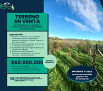 Predio de 3,5 has en Huenutil del Peumo, Ñiquén, Ñuble