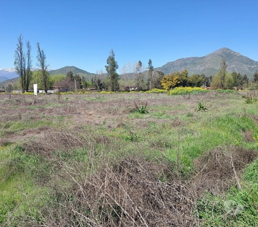 Bienes Raices Maipo Paine - Fotos de Sitio agroindustrial en Colonia Kennedy, Paine.