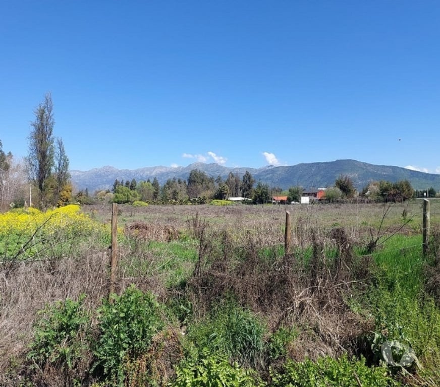 Bienes Raices Maipo Paine - Fotos de Sitio agroindustrial en Colonia Kennedy, Paine.