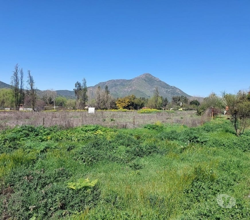 Bienes Raices Maipo Paine - Fotos de Sitio agroindustrial en Colonia Kennedy, Paine.