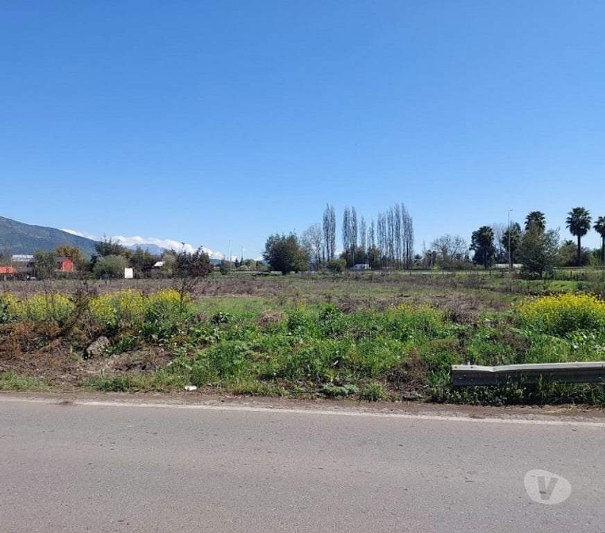 Bienes Raices Maipo Paine - Fotos de Sitio agroindustrial en Colonia Kennedy, Paine.