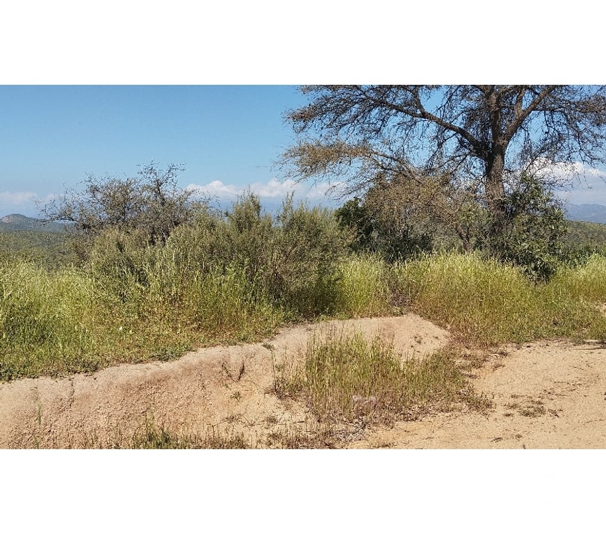 Parcelas en Venta Quillota Limache - Fotos de PARCELA EN CAJON DEL LEBU LIMACHE