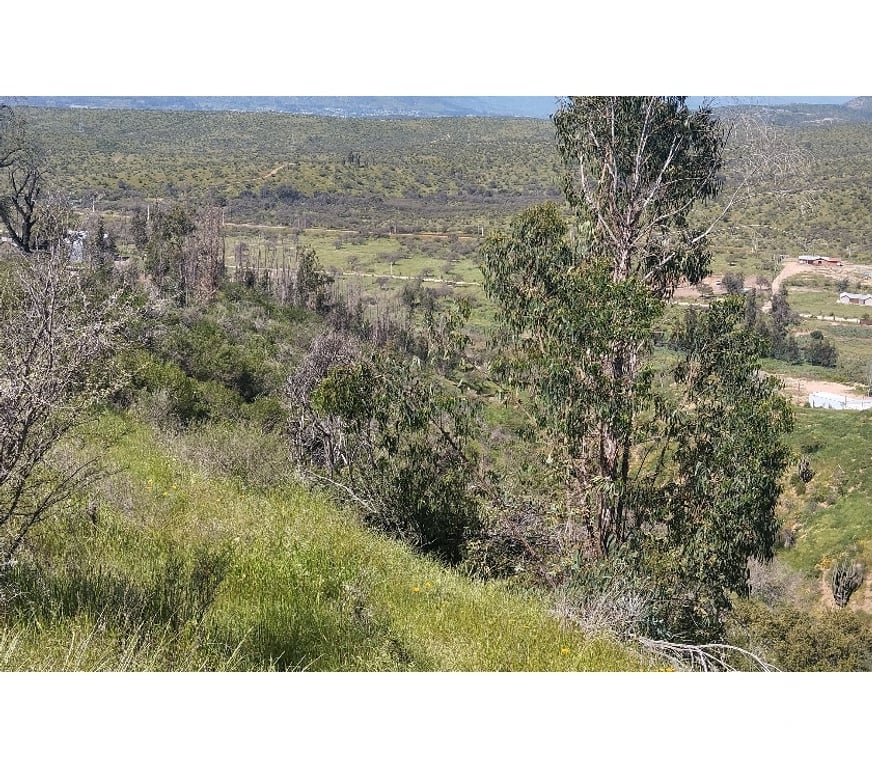 Parcelas en Venta Quillota Limache - Fotos de PARCELA EN CAJON DEL LEBU LIMACHE