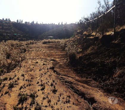 Terrenos en Venta Limache Quillota - Fotos de PARCELA 5000 MT2 FUNDO EL LEBU