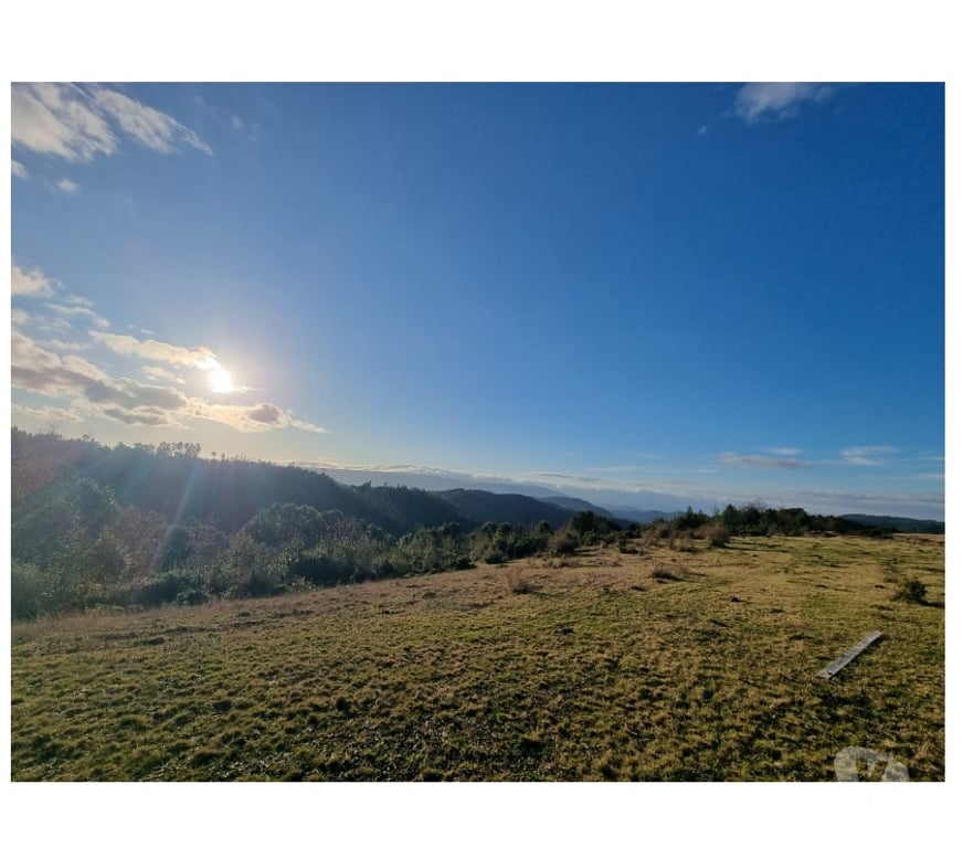 Parcelas en Venta Llanquihue Los Muermos - Fotos de TERRENO EN LOS MUERMOS, CORDILLERA DEL SARAO