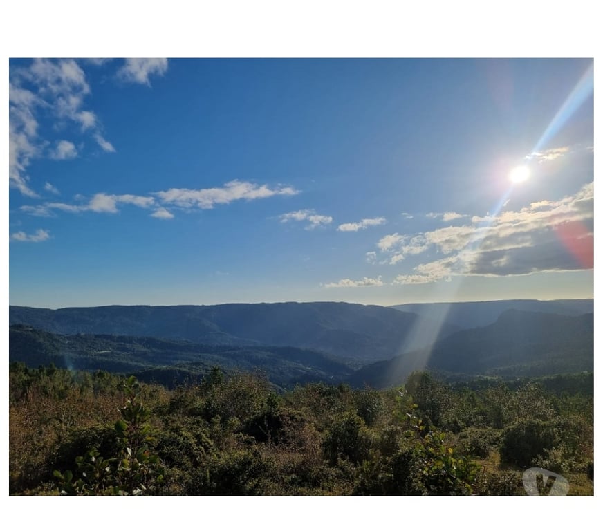 Parcelas en Venta Llanquihue Los Muermos - Fotos de TERRENO EN LOS MUERMOS, CORDILLERA DEL SARAO