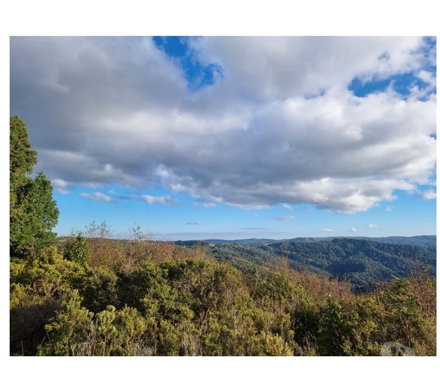 Parcelas en Venta Llanquihue Los Muermos - Fotos de TERRENO EN LOS MUERMOS, CORDILLERA DEL SARAO