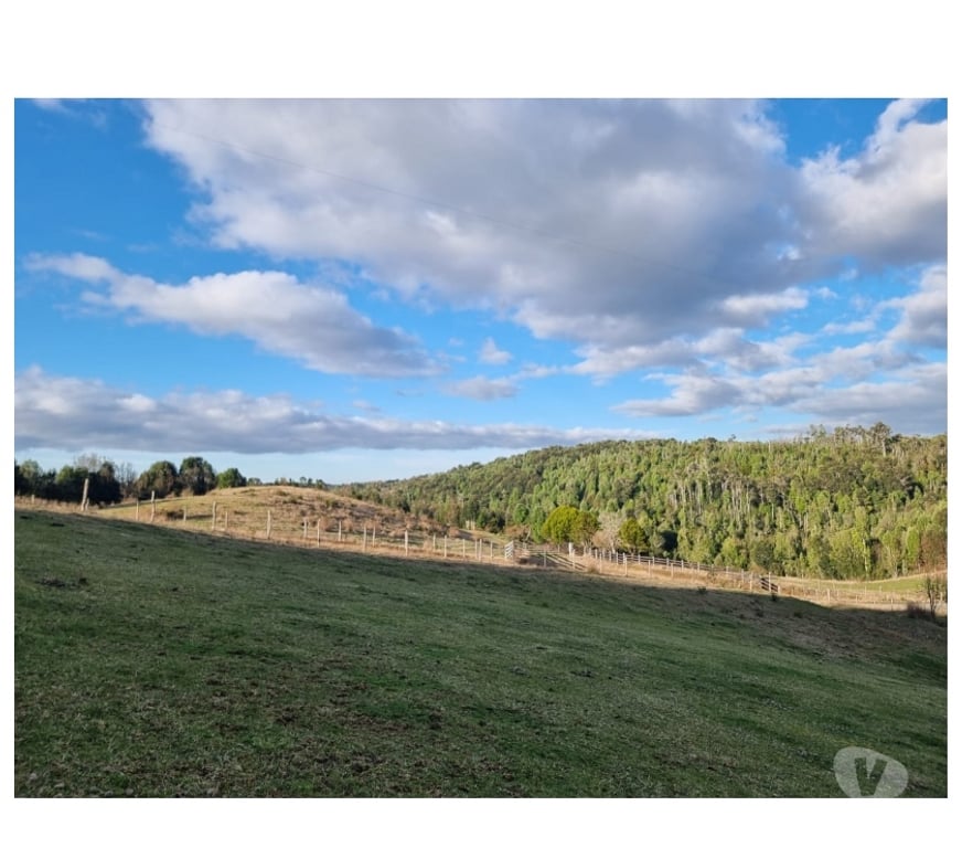 Parcelas en Venta Llanquihue Los Muermos - Fotos de TERRENO EN LOS MUERMOS, CORDILLERA DEL SARAO