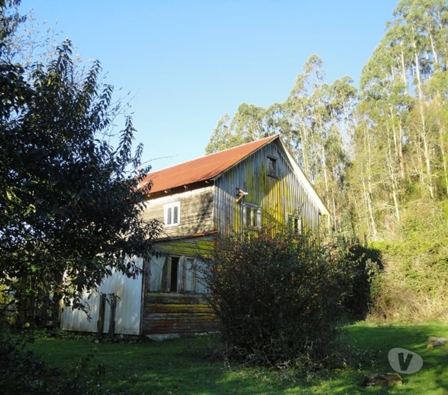 Venta de Haciendas Valdivia Máfil - Fotos de Espectacular Campo de 54 hás en Mafil cerca de Valdivia