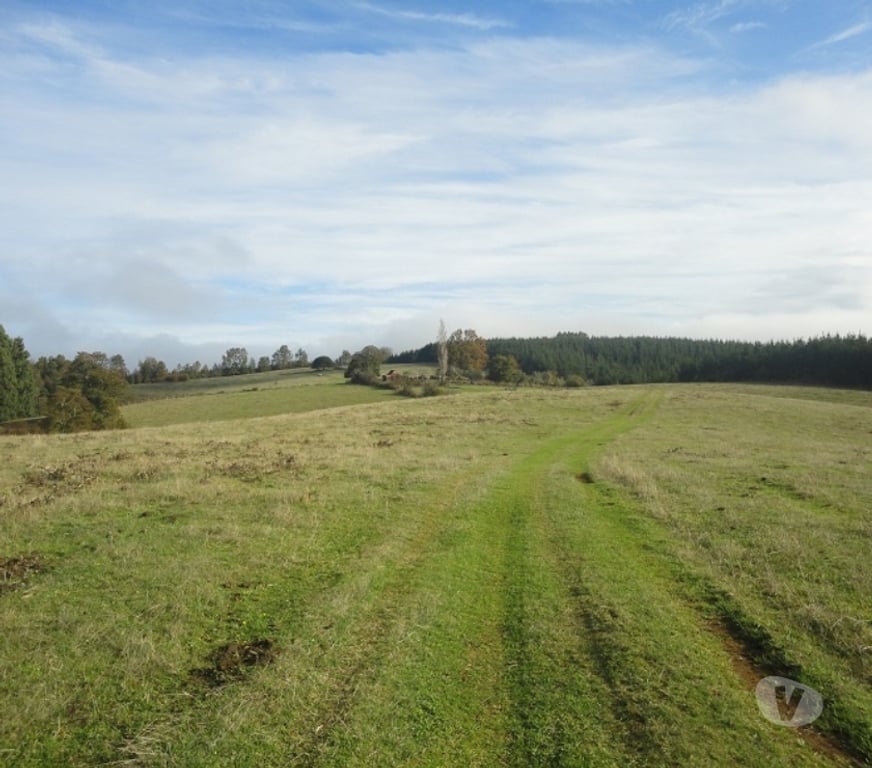 Venta de Haciendas Valdivia Máfil - Fotos de Espectacular Campo de 54 hás en Mafil cerca de Valdivia