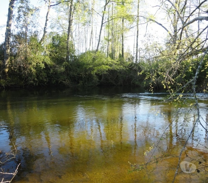 Venta de Haciendas Valdivia Máfil - Fotos de Espectacular Campo de 54 hás en Mafil cerca de Valdivia
