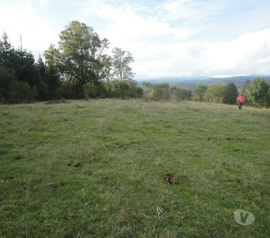 Venta de Haciendas Valdivia Máfil - Fotos de Espectacular Campo de 54 hás en Mafil cerca de Valdivia