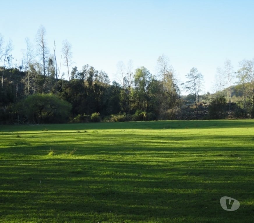 Venta de Haciendas Valdivia Máfil - Fotos de Espectacular Campo de 54 hás en Mafil cerca de Valdivia