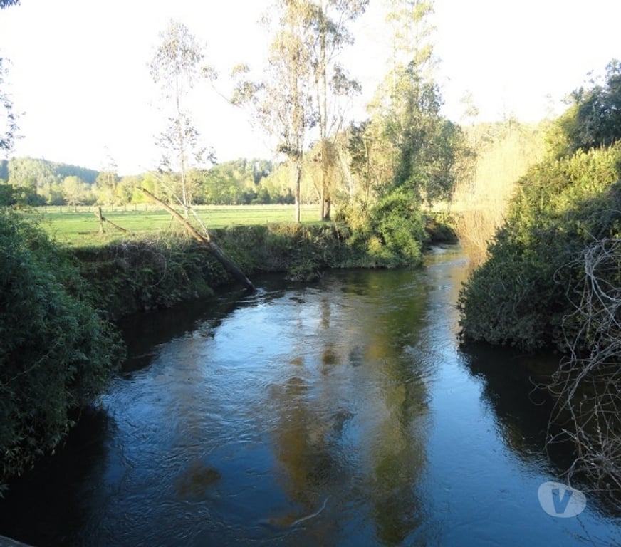 Venta de Haciendas Valdivia Máfil - Fotos de Espectacular Campo de 54 hás en Mafil cerca de Valdivia