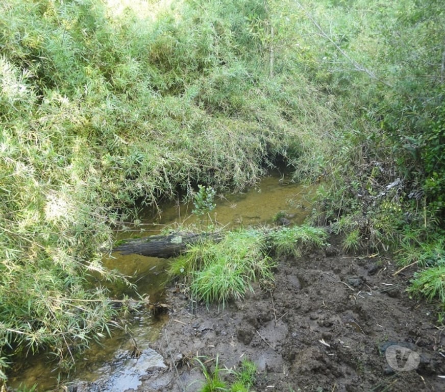 Venta de Haciendas Valdivia Máfil - Fotos de Espectacular Campo de 54 hás en Mafil cerca de Valdivia