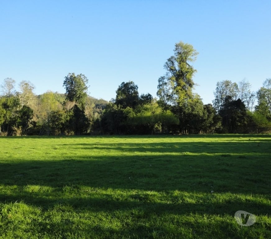 Venta de Haciendas Valdivia Máfil - Fotos de Espectacular Campo de 54 hás en Mafil cerca de Valdivia