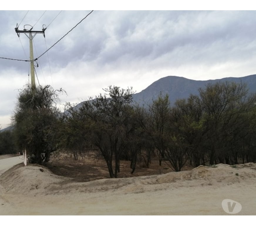 Parcelas en Venta Quillota Hijuelas - Fotos de TERRENO EN PENDIENTE SUAVE, OASIS DE LA CAMPANA