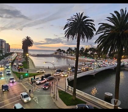 Arriendos Viña del Mar Valparaíso - Fotos de DEPARTAMENTOS ARRIENDO VIÑA DEL MAR +56976545982