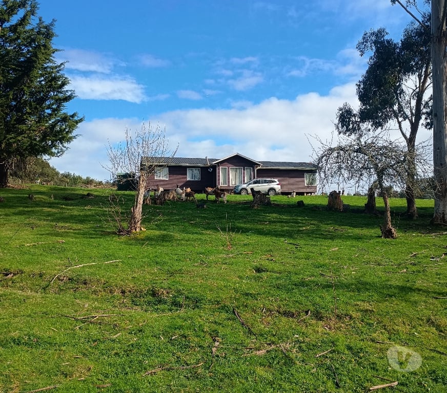 Bienes Raices Llanquihue Calbuco - Fotos de Casa de 120 M2 en Parcela