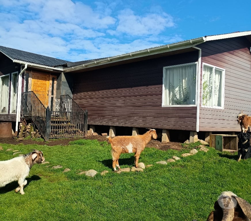 Bienes Raices Llanquihue Calbuco - Fotos de Casa de 120 M2 en Parcela