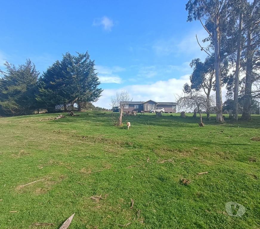 Bienes Raices Llanquihue Calbuco - Fotos de Casa de 120 M2 en Parcela