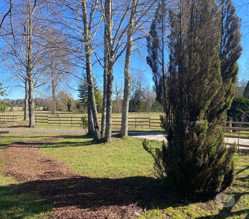 Parcelas en Venta Cautín Villarrica - Fotos de Hermosa Parcela en prestigioso condominio