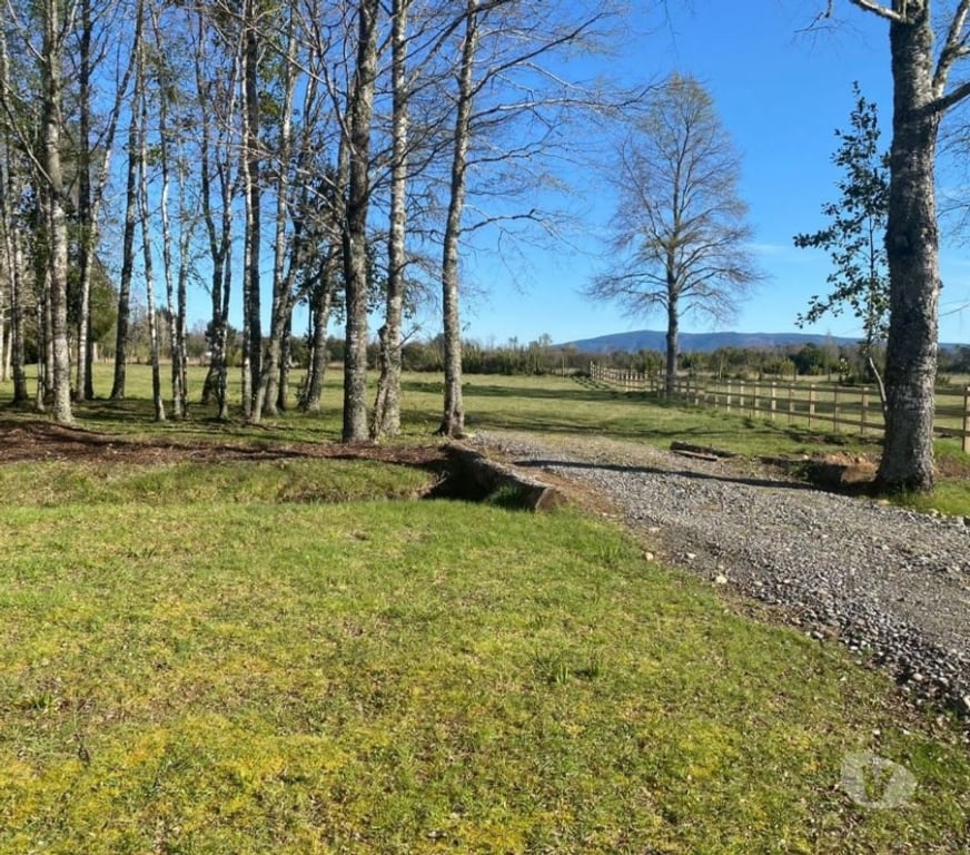 Parcelas en Venta Cautín Villarrica - Fotos de Hermosa Parcela en prestigioso condominio