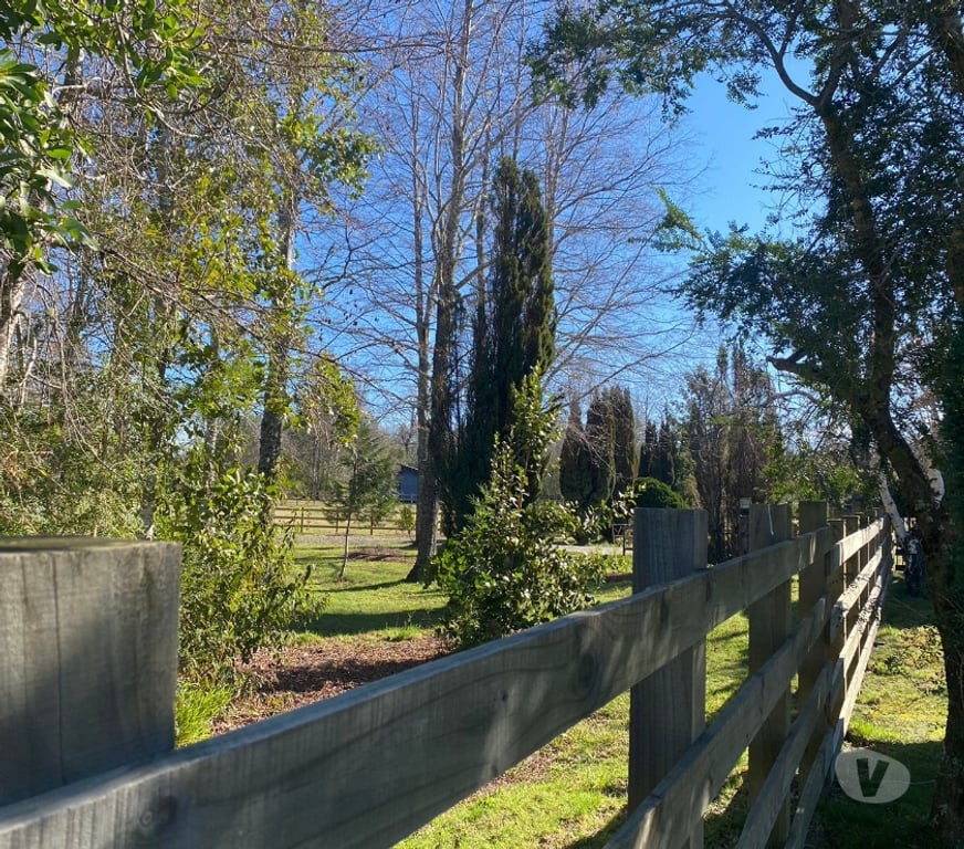 Parcelas en Venta Cautín Villarrica - Fotos de Hermosa Parcela en prestigioso condominio